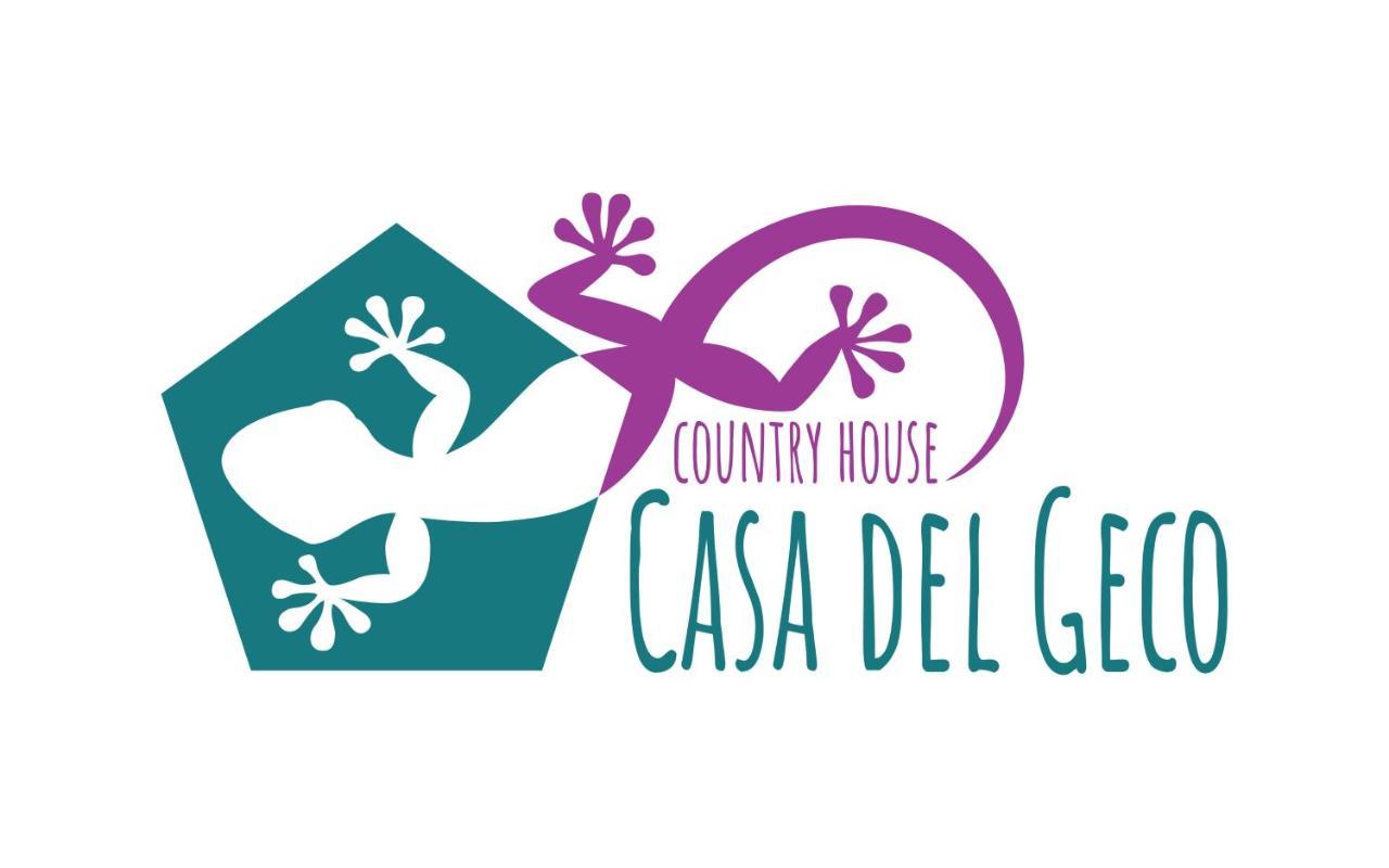 Casa Del Geco Bed and Breakfast Πέστουμ Εξωτερικό φωτογραφία