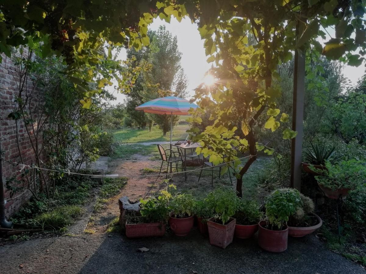 Casa Del Geco Bed and Breakfast Πέστουμ Εξωτερικό φωτογραφία