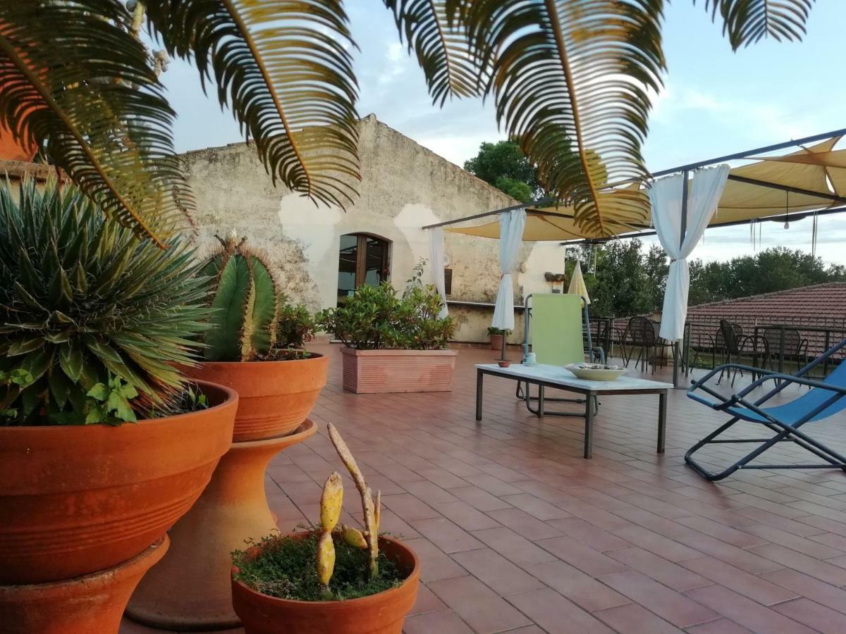 Casa Del Geco Bed and Breakfast Πέστουμ Εξωτερικό φωτογραφία